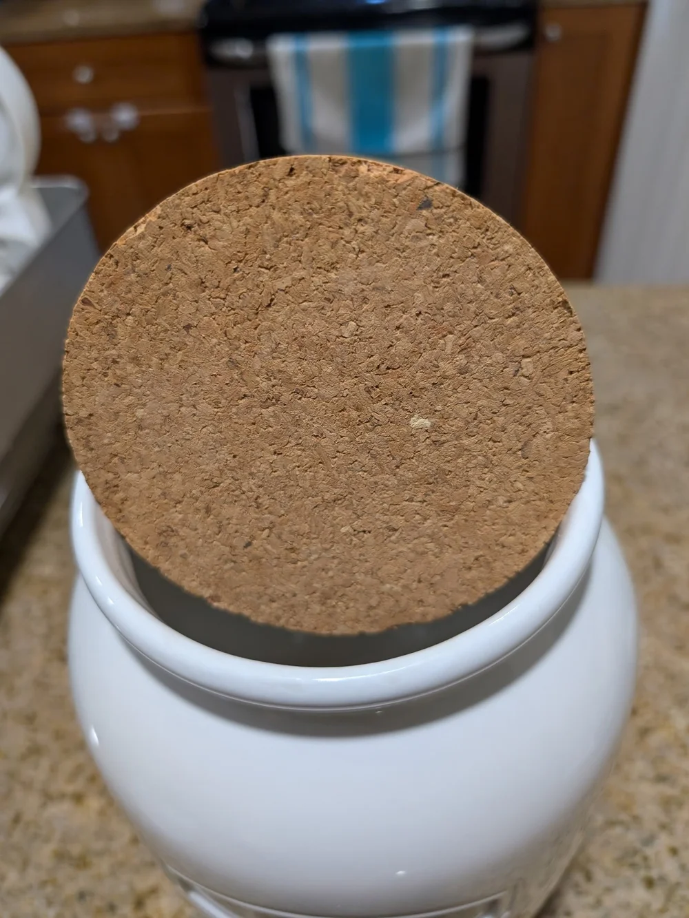 Pottery Barn Cookie Jar
